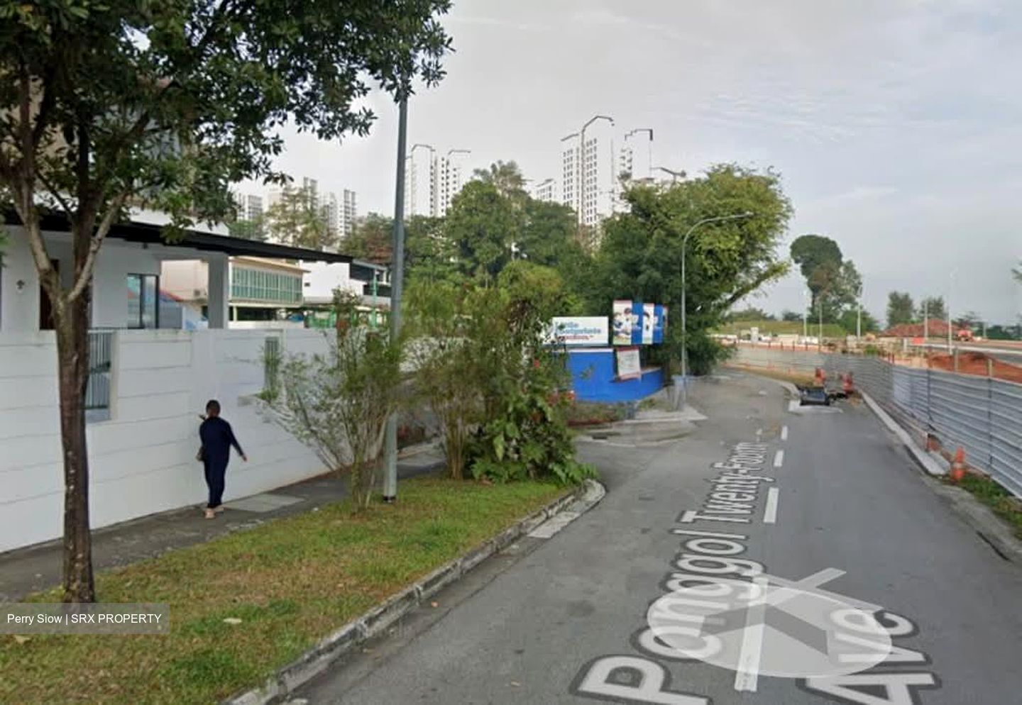 Ponggol Twenty-fourth Avenue (D19), Detached #562106441